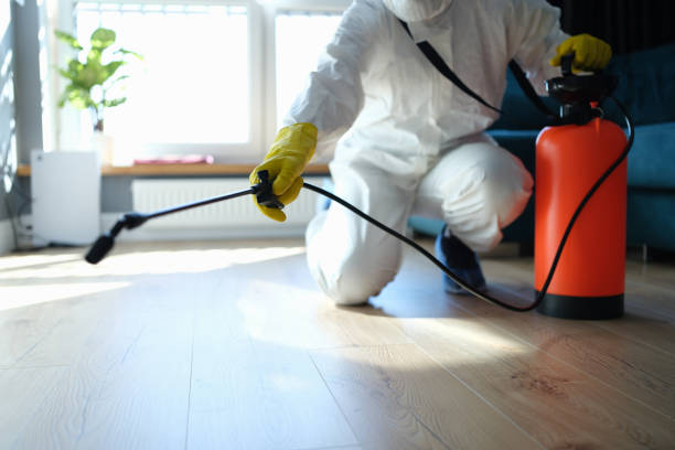 Reliable Blood Cleanup contractor in Stuart, VA by Trauma Clean Pros